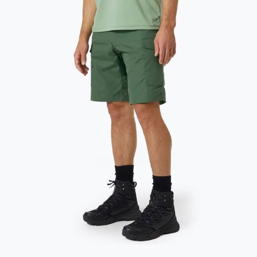 Helly Hansen Herren Vandre Cargo grün Trekkingshorts 62699_476