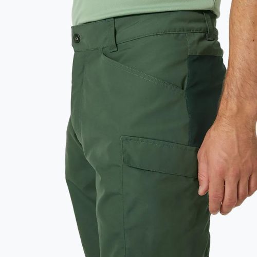 Helly Hansen Herren Vandre Cargo grün Trekkingshorts 62699_476