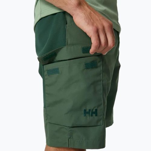 Helly Hansen Herren Vandre Cargo grün Trekkingshorts 62699_476