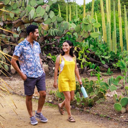 Hydro Flask Standard Flex Straw Thermoflasche 620 ml Tau S21FS441