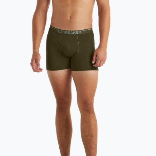 Thermo-Boxershorts für Männer Icebreaker Anatomica Loden 103029