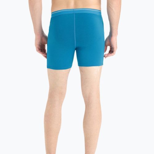 Thermo-Boxershorts für Herren Icebreaker Anatomica Geo Blau 103029