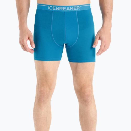 Thermo-Boxershorts für Herren Icebreaker Anatomica Geo Blau 103029