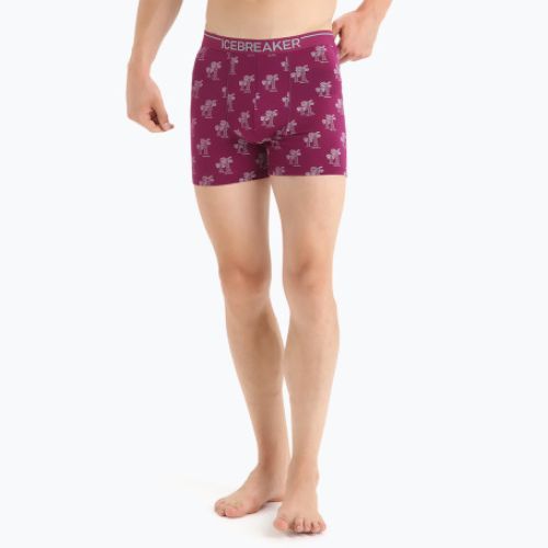 Thermische Boxershorts für Männer Eisbrecher Anatomica Go Berry 103029