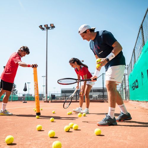 HEAD Reset Polybag Tennisbälle 72 Stück grün 575030