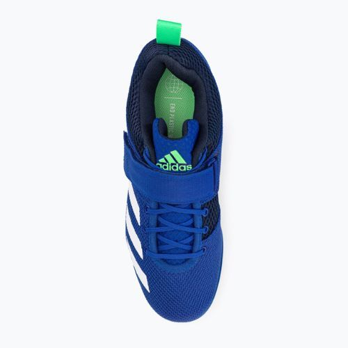 adidas Powerlift 5 Gewichtheberschuhe blau GY8922