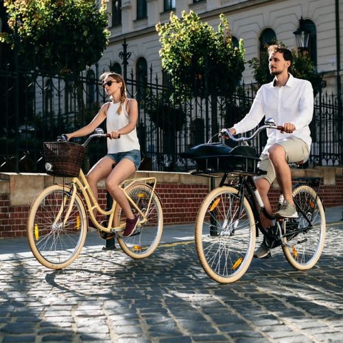 Kellys Royal Dutch 460 Stadtrad schwarz 72362