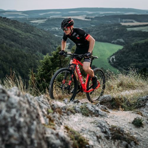 Kellys Spider 70 29" Mountainbike schwarz 68848
