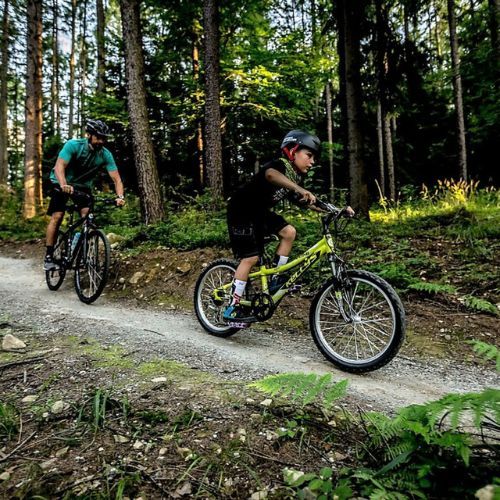 Kellys Kinderfahrrad Marc 70 24" grau 76568