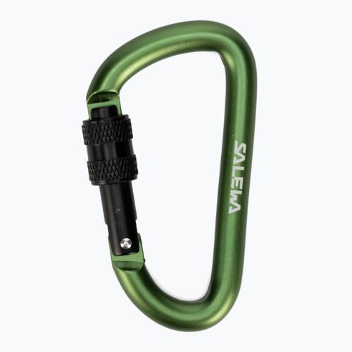 Salewa D-Shape Carbiner mit Schraube grün 00-0000034102
