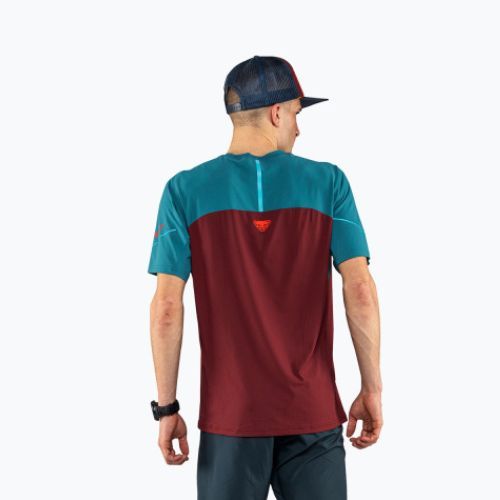 Herren DYNAFIT Alpine Pro Laufshirt kastanienbraun 08-0000070964