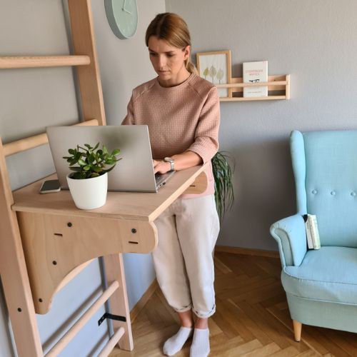 BenchK Bronze-Gymnastikleiter BK-112