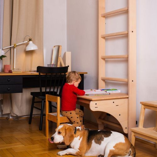 BenchK Bronze-Gymnastikleiter BK-112