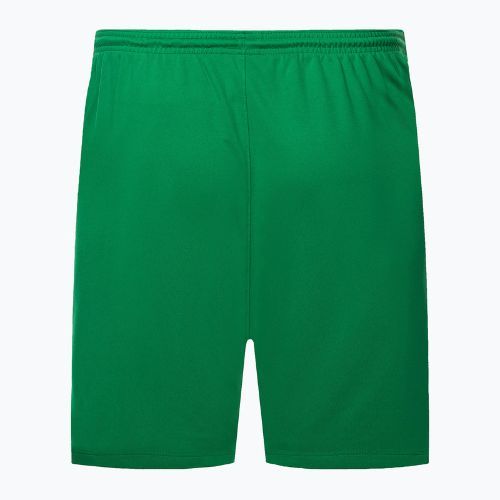 Herren Nike Dry-Fit Park III Fußball-Shorts grün BV6855-302