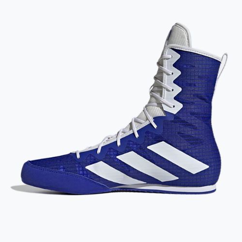 Boxschuhe adidas Box Hog 4 navy blau HP9612