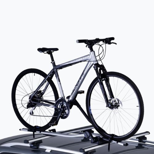 Thule ProRide Fahrradträger für das Dach silber 591018