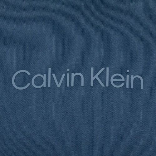 Männer Calvin Klein Hoodie DBZ Buntstift blau