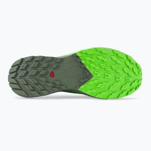 Herren Laufschuhe Salomon Sense Ride 5 schwarz/laurel wreath/green gecko