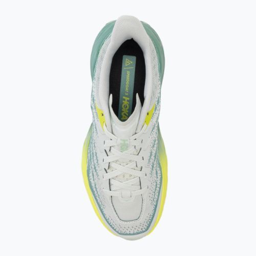 Damen Laufschuhe HOKA Speedgoat 5 Wide Festival mercury/trellis