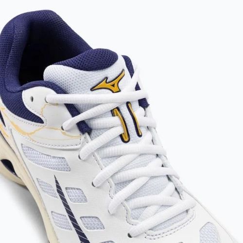 Herren Volleyball Schuhe Mizuno Wave Voltage weiß / blaues Band / mp gold