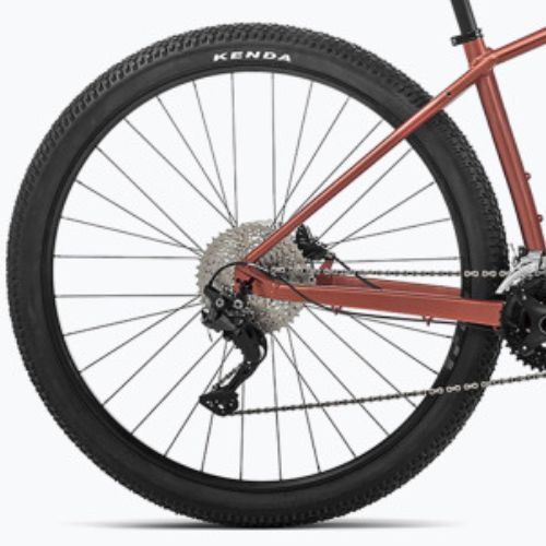 Orbea Onna 30 29 2023 terracotta rot/grün Mountainbike