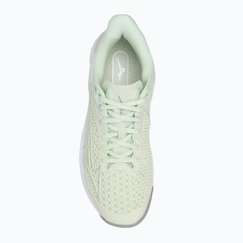 Damen Tennisschuhe Mizuno Wave Exceed Tour 5 CC ambroshia / silber / techno grün