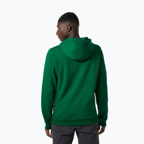 Herren-Trekking-Sweatshirt Helly Hansen F2F Organic Cotton Hoodie malachite
