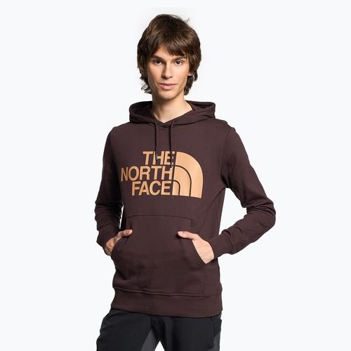 Männer The North Face Standard Hoodie Kohle braun/Mandel Butter Sweatshirt