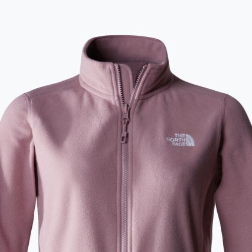 Damen Fleece-Sweatshirt The North Face 100 Glacier Fz rehgrau