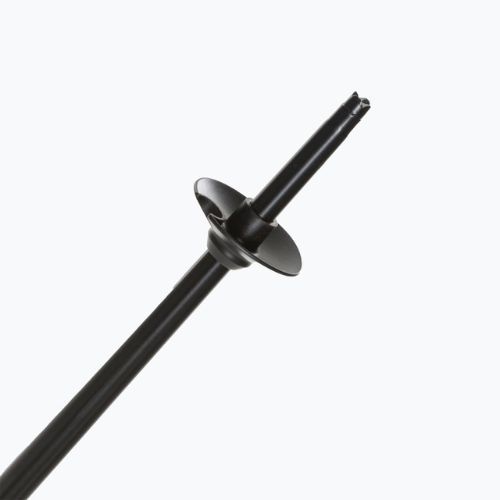 Fizan Storm Pro Skistöcke schwarz