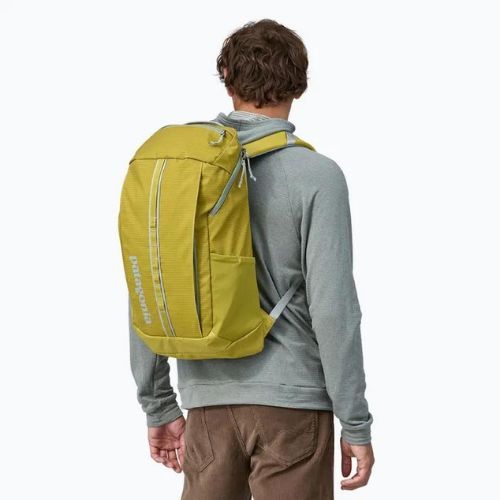 Patagonia Black Hole Pack 25 l Strauch grün Wanderrucksack