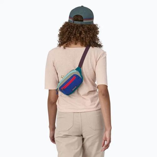 Patagonia Ultralight Black Hole Mini Hip Pack 1 l Patchwork/Belay blau Nierentasche