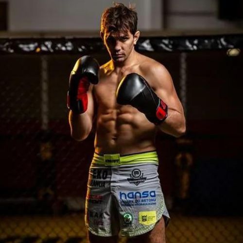 DBX BUSHIDO "Hammer - Rot" Muay Thai Boxhandschuhe schwarz/rot