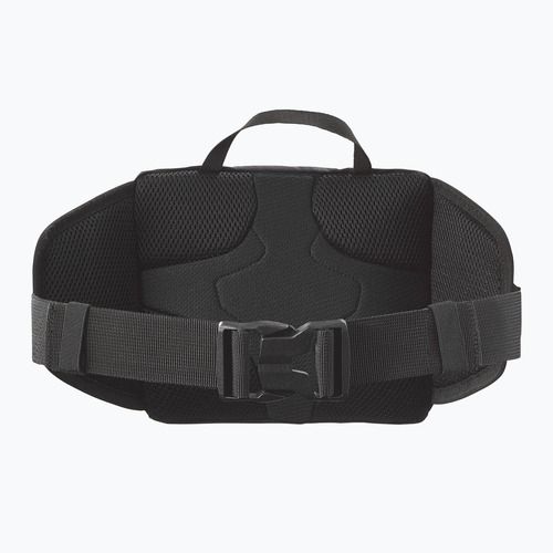 Salomon Trailblazer 4 l schwarz/legiert Nierentasche