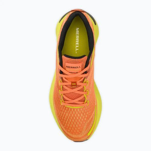 Laufschuhe Herren Merrell Morphlite melon/hiviz