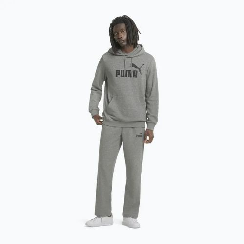 Herren Hoodie Sweatshirt PUMA Essentials Big Logo Hoodie TR medium gray heather