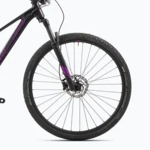 Mountainbike Damen Superior XC 879 W gloss black rainbow/purple