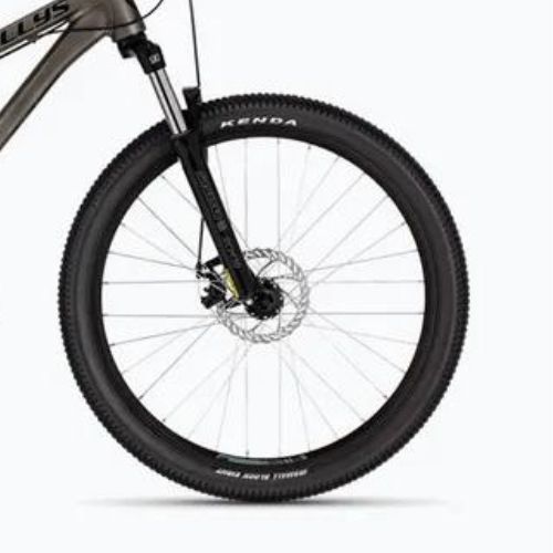 Kellys Whip 10 raw Mountainbike