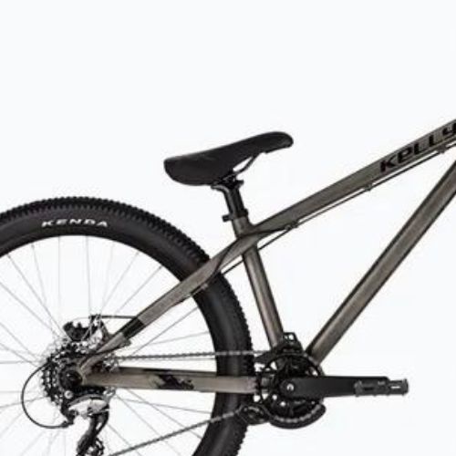 Kellys Whip 10 raw Mountainbike