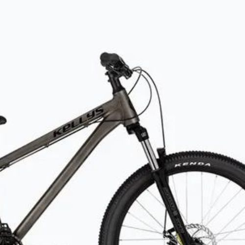 Kellys Whip 10 raw Mountainbike