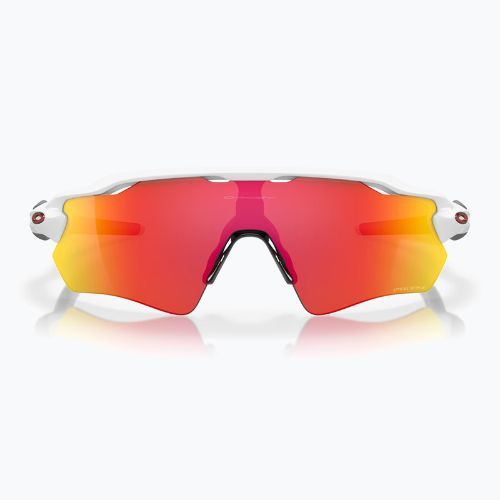 Oakley Radar EV Path Sonnenbrille poliert weiß/prizm ruby
