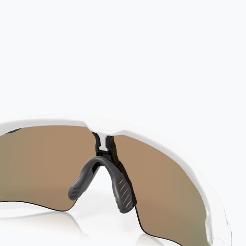 Oakley Radar EV Path Sonnenbrille poliert weiß/prizm ruby