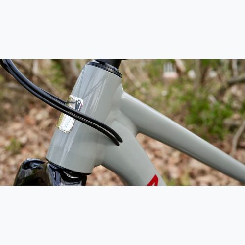 Marin Rift Zone 2 29 glänzend grau/rot Mountainbike
