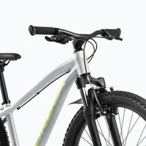 Orbea Kinderfahrrad MX 24 XC 2024 silber/spicy lime