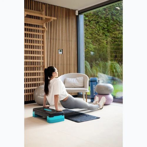 XTREXO Aerobic Stepper TXO-B4W008 blau