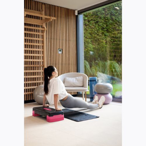 XTREXO Aerobic Stepper TXO-B4W008 rosa
