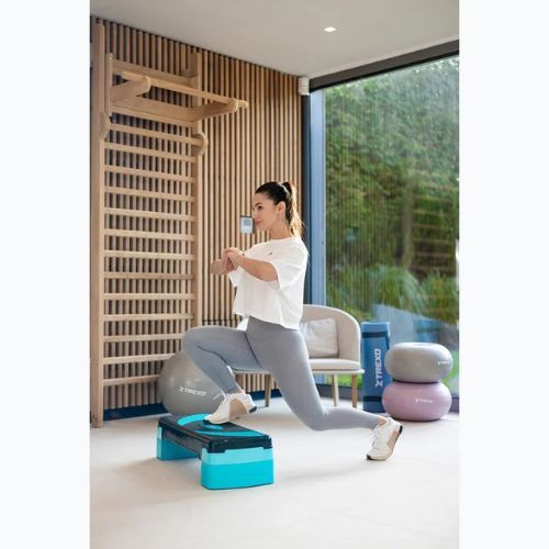 XTREXO Aerobic Stepper TXO-B4W009 blau