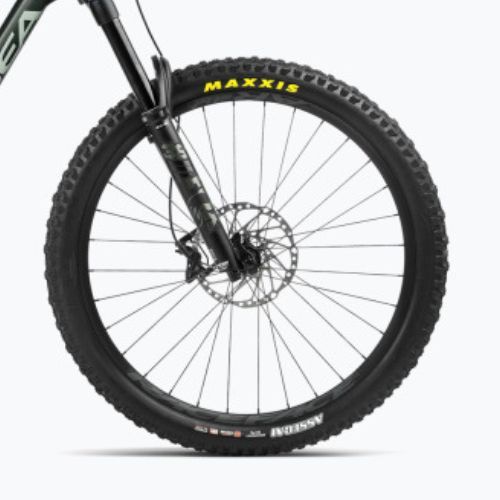 Orbea Rallon M20 2024 Forest green carbon view/blauer Stein Mountainbike