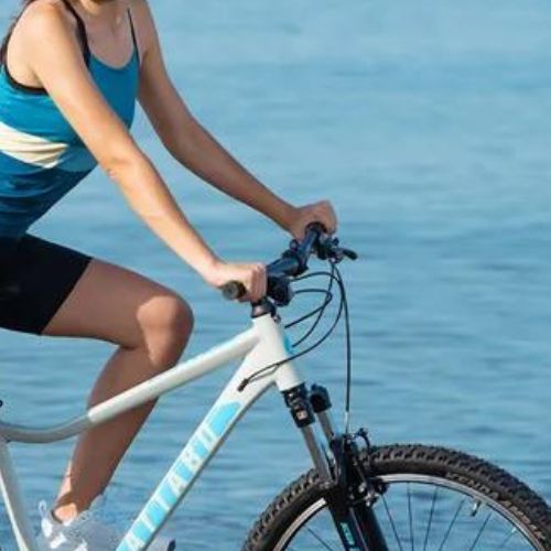 Damen-Mountainbike ATTABO ALPE 1.0 17" grau