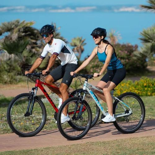 Damen-Mountainbike ATTABO ALPE 1.0 17" grau